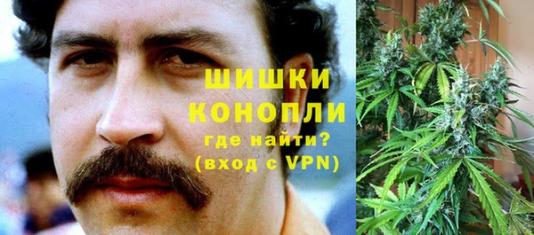 дмт Белокуриха