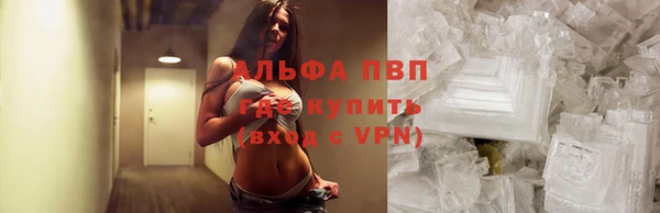 дмт Белокуриха