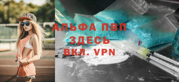 дмт Белокуриха