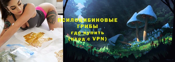 дмт Белокуриха
