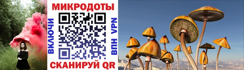 Галлюциногенные грибы ЛСД  Облучье 